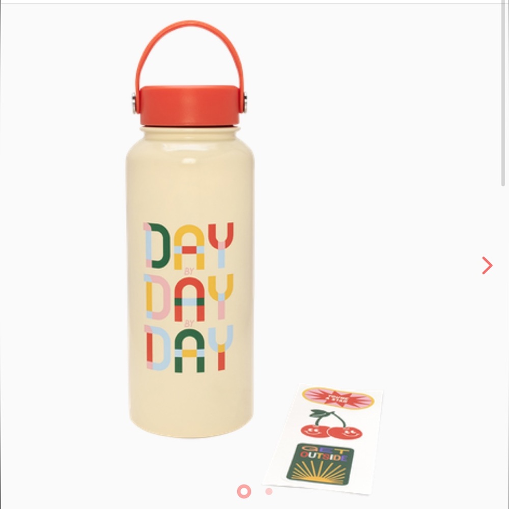 33 oz Stainless Steel Water Bottle